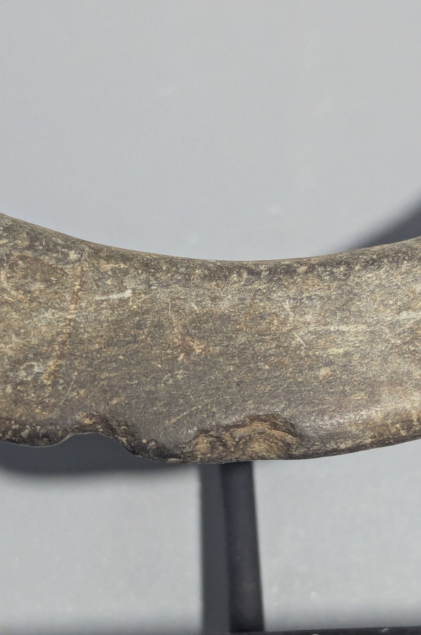 Solomon Islands Giant Clam Shell Wealth Ring (Bakiha or Poata)