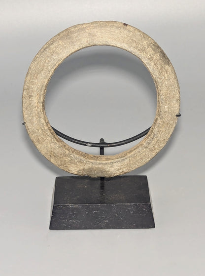 Solomon Islands Giant Clam Shell Wealth Ring (Bakiha or Poata)