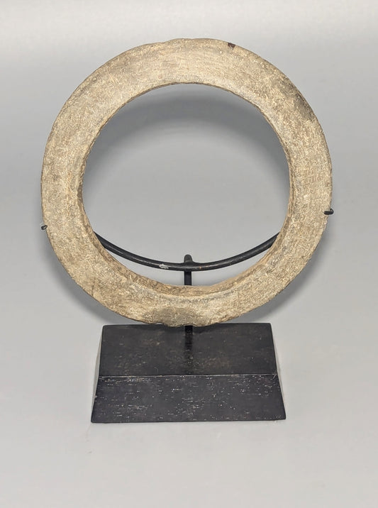 Solomon Islands Giant Clam Shell Wealth Ring (Bakiha or Poata)