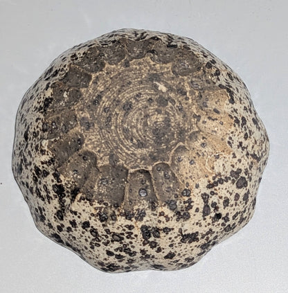 Japanese Studio Stoneware Bowl with Abstract Relief Decoration